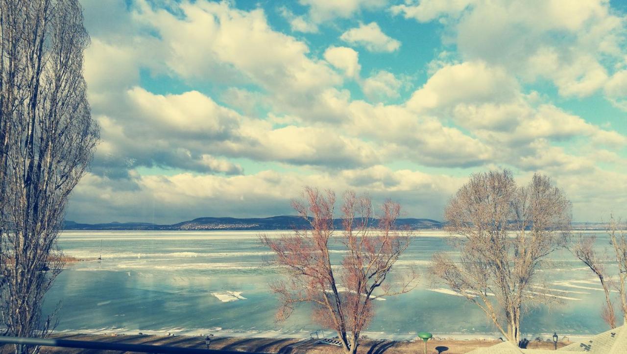 Panoramic Art Apartment With Jacuzzi Balatonlelle Luaran gambar